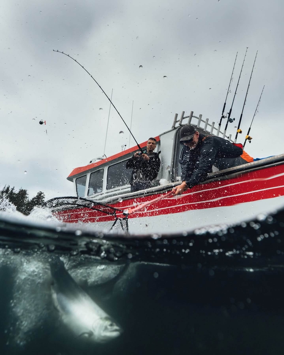 Fishing in Sitka Fishing in Sitka, Alaska - Fisherman on a boat pulling in a big King salmon